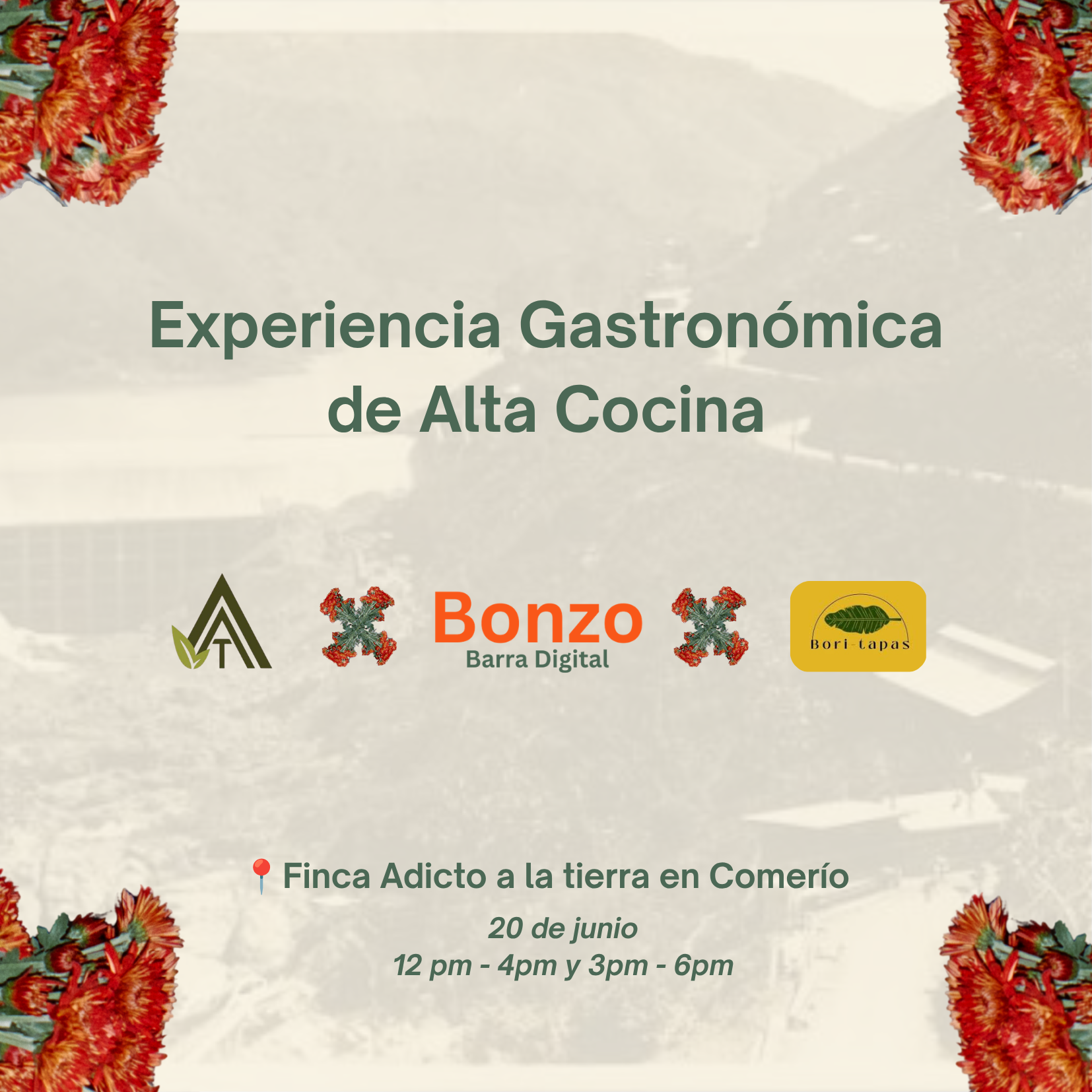 Experiencia Gastronómica de Alta Cocina en Comerío